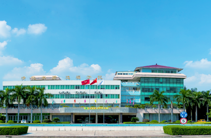 时搏网建设历程表